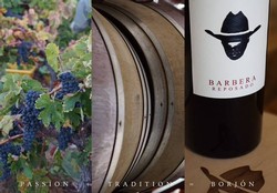 Wine Club Pick Up Party 2023