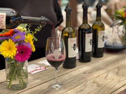 Vino En Mayo 2023 Wine Club