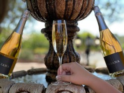 Vino Nuevo Wine Club 2022